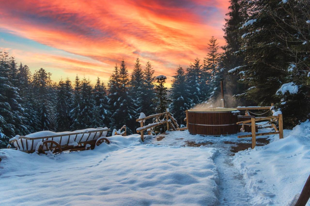 Lesna Bacowka Chalet Nowy Targ