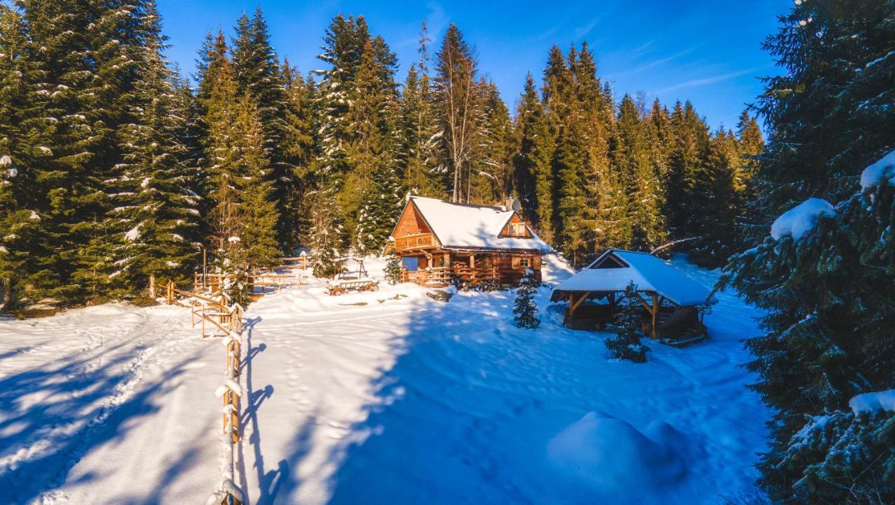 Chalet Lesna Bacowka