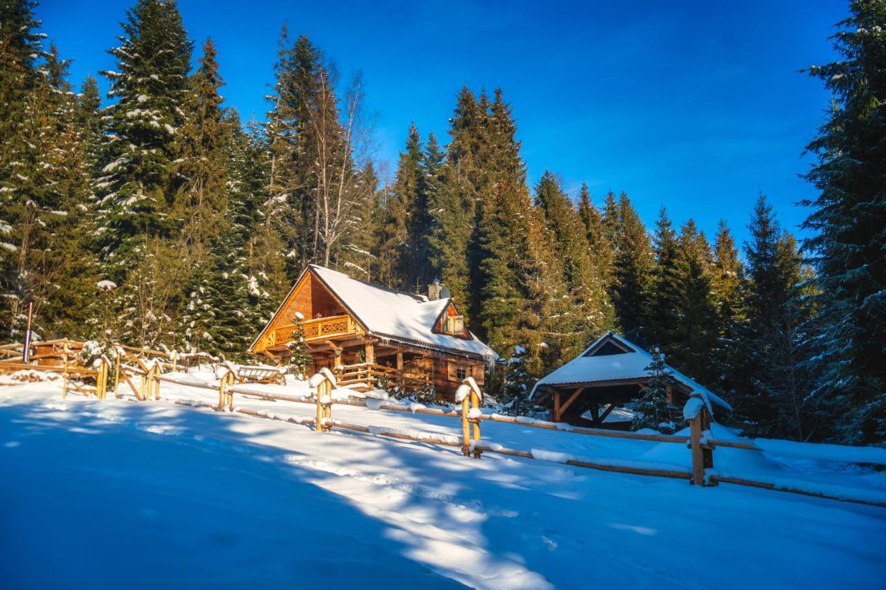 Chalet Lesna Bacowka
