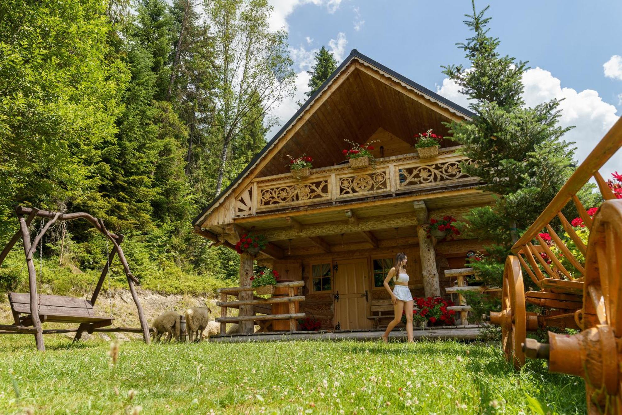 Lesna Bacowka Chalet *